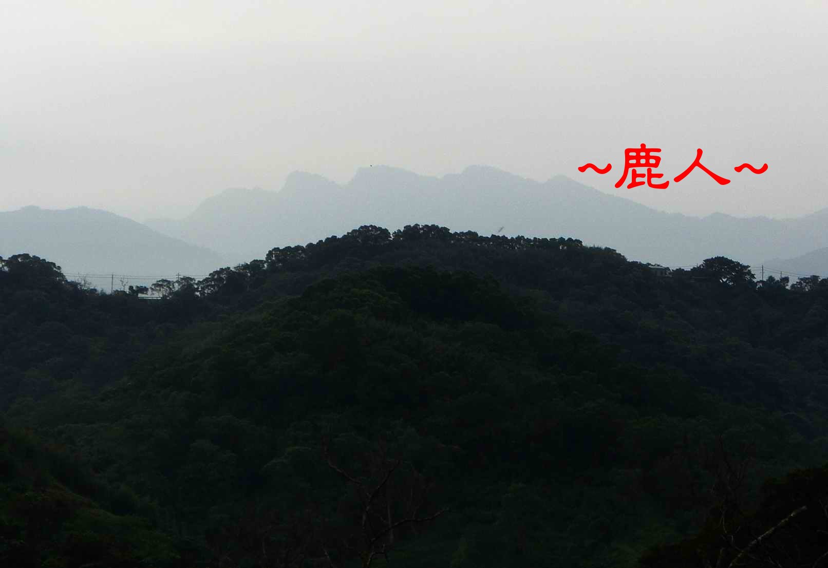秀&麗的山& 水照_1001.JPG