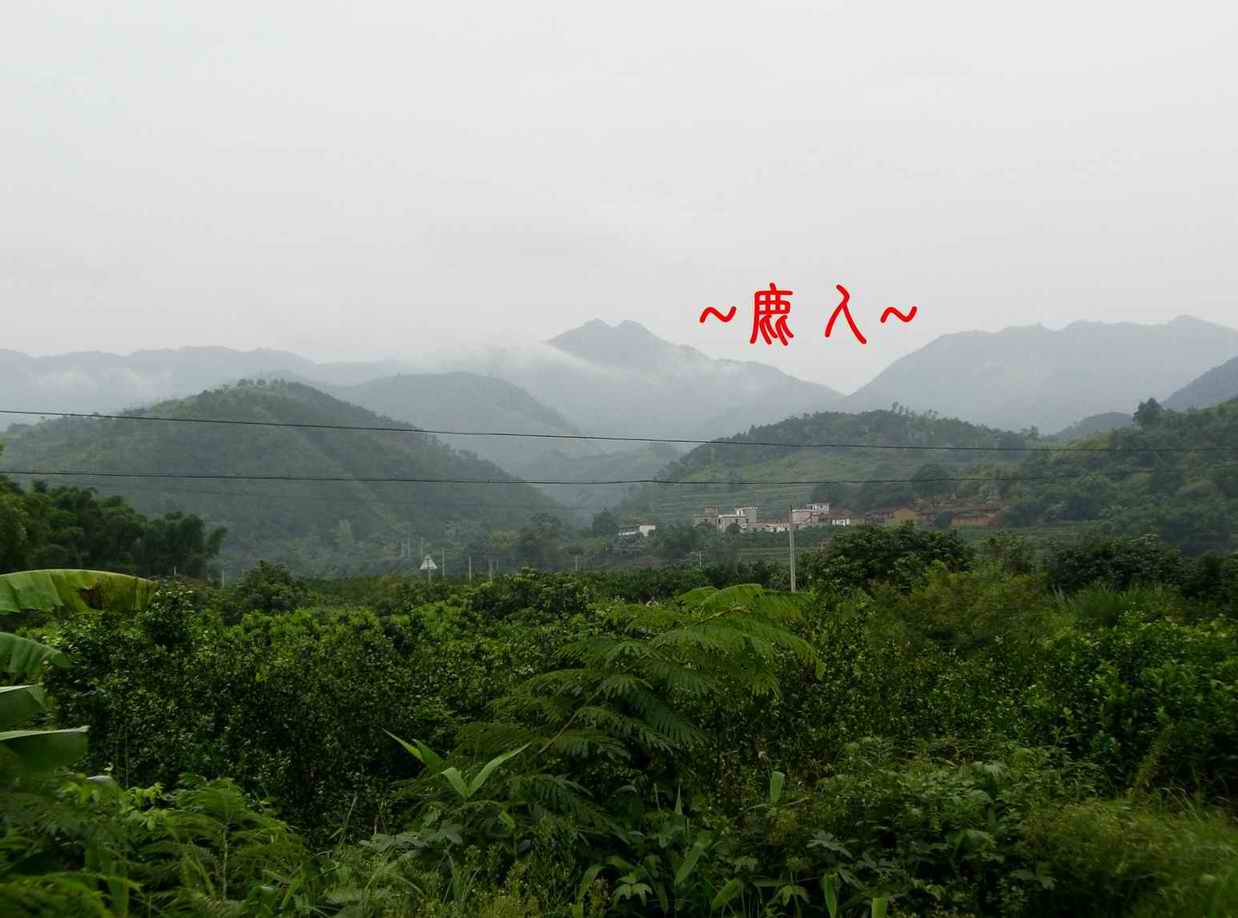 秀&麗的山& 水照_1002.JPG