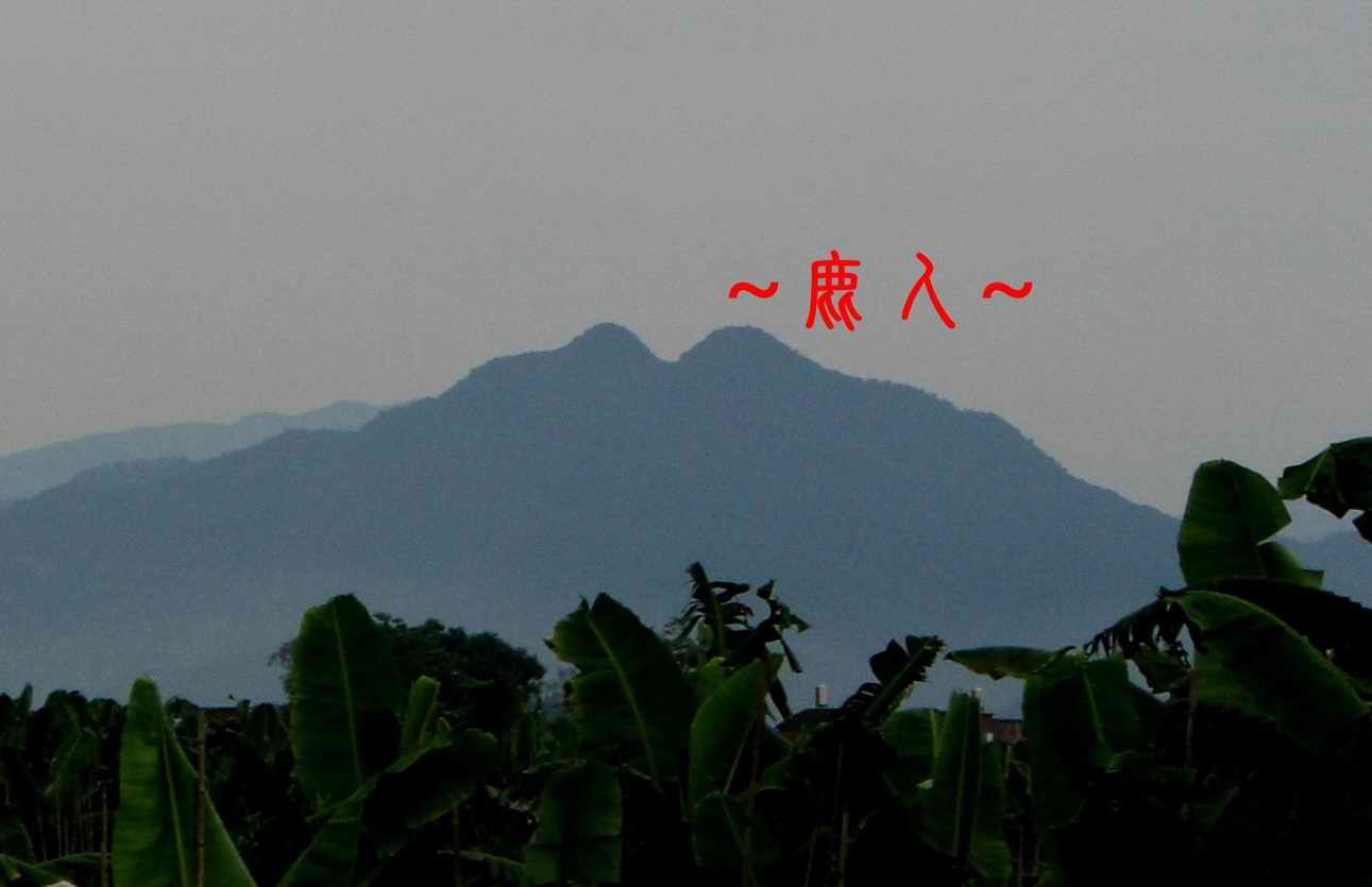 秀&麗的山& 水照_1055.JPG