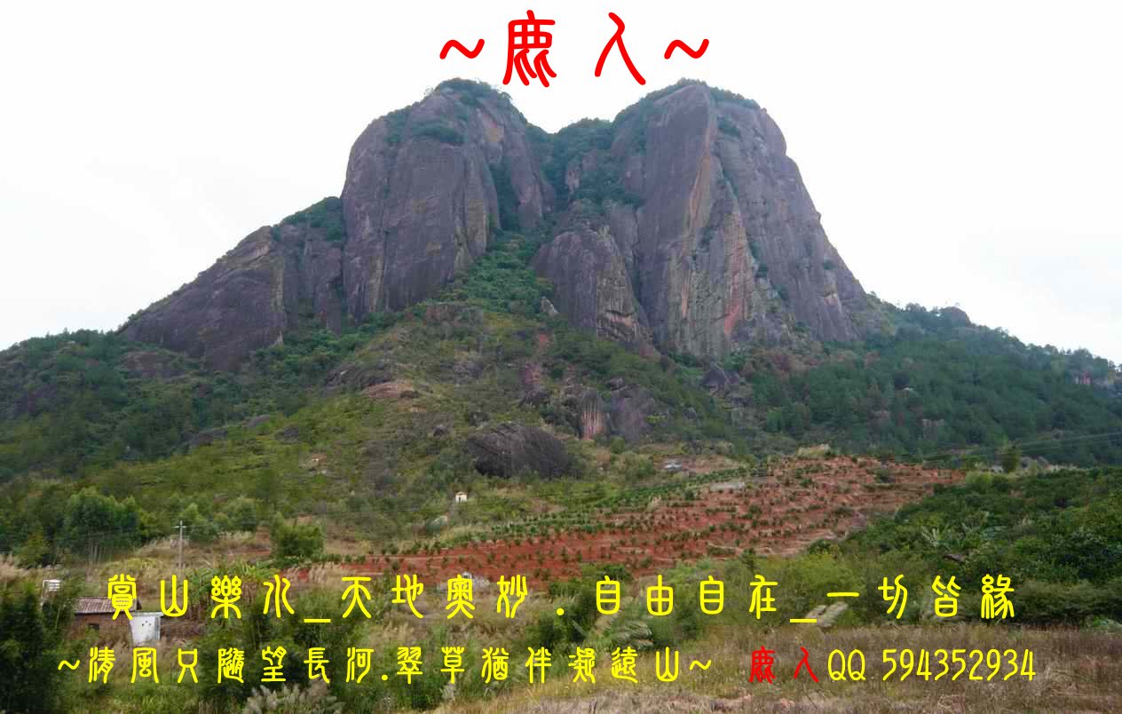 秀的頑石_254.JPG