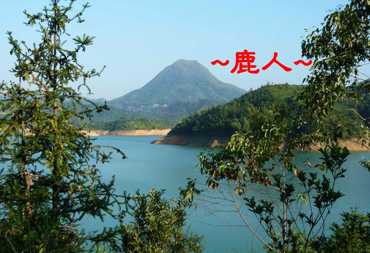 秀麗星體1489.JPG