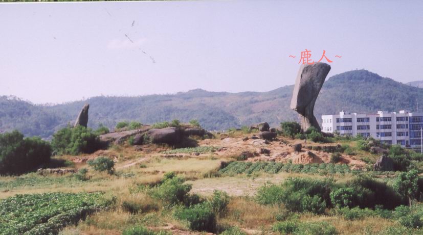 秀靚_5.jpg