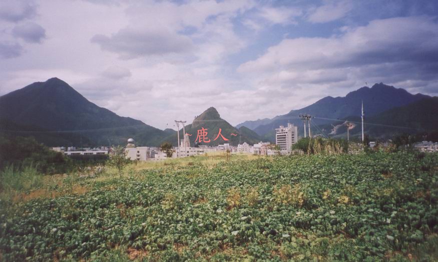 秀靚_13.jpg