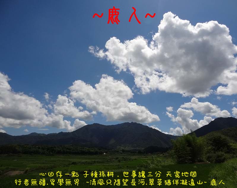 走過蓮花田_08.JPG