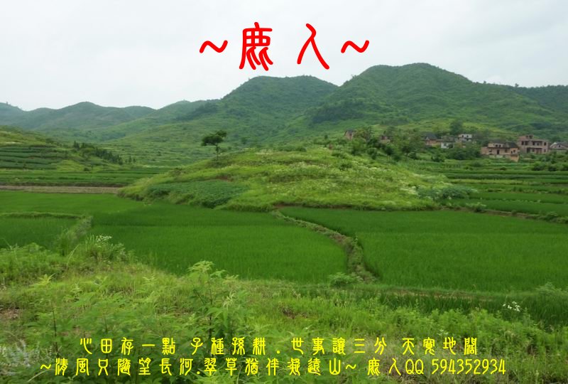 走過歲月_擁抱流金_13.JPG