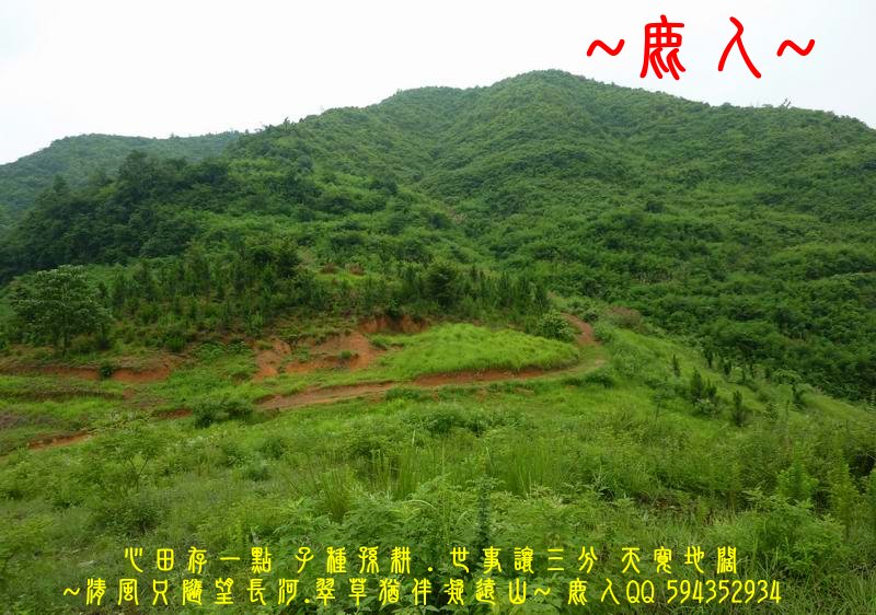 走過歲月_擁抱流金_03.JPG