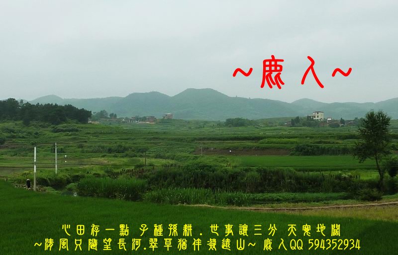 走過歲月_擁抱流金_01.JPG