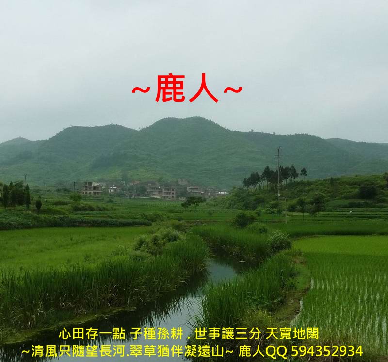 走過歲月_擁抱流金_02.JPG