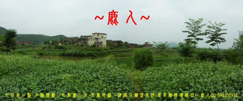 走過歲月_擁抱流金_10.JPG