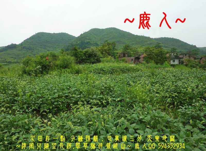 走過歲月_擁抱流金_08.JPG