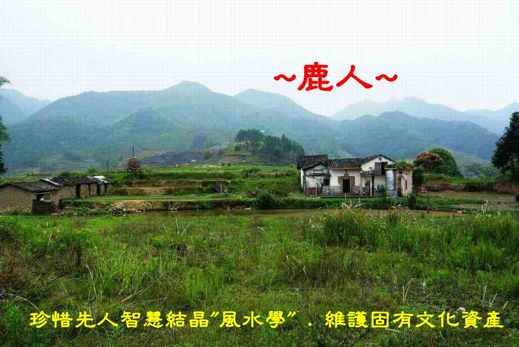 走於鄉林與都會間_01.JPG