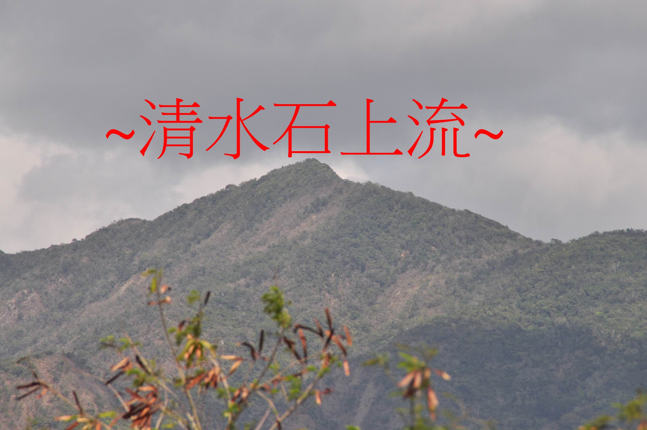 里龍山少祖.jpg