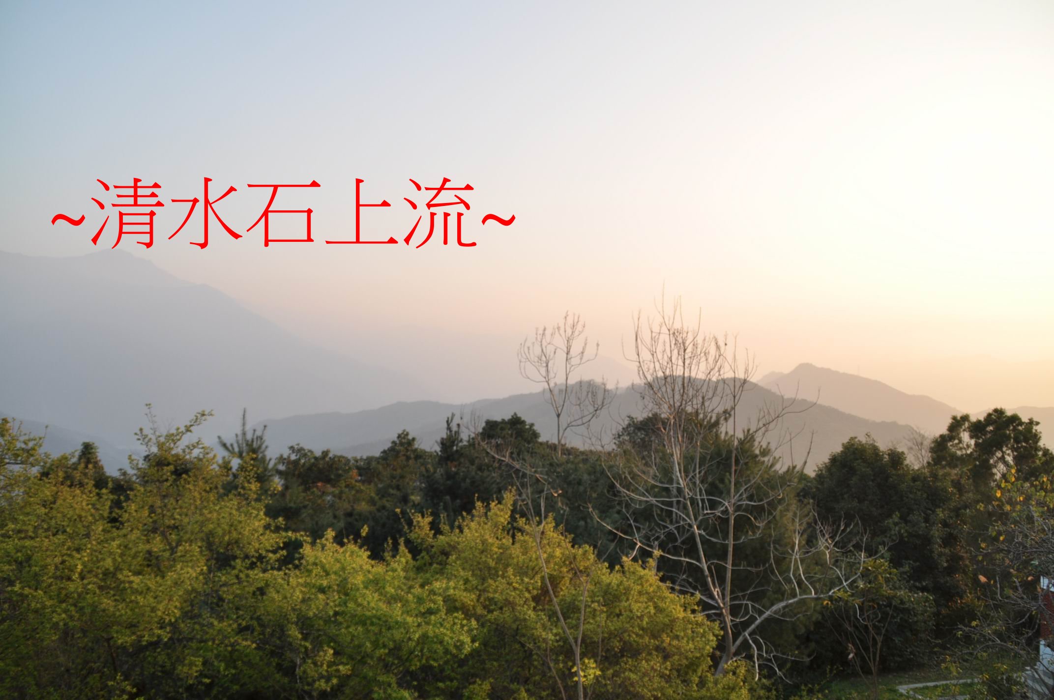來脈.jpg