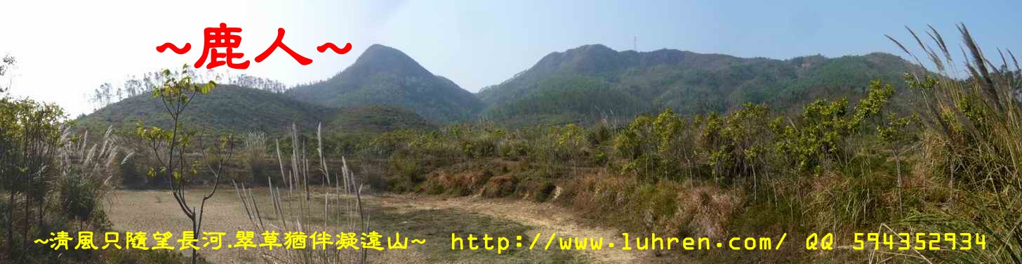 其特的穴山_175.JPG