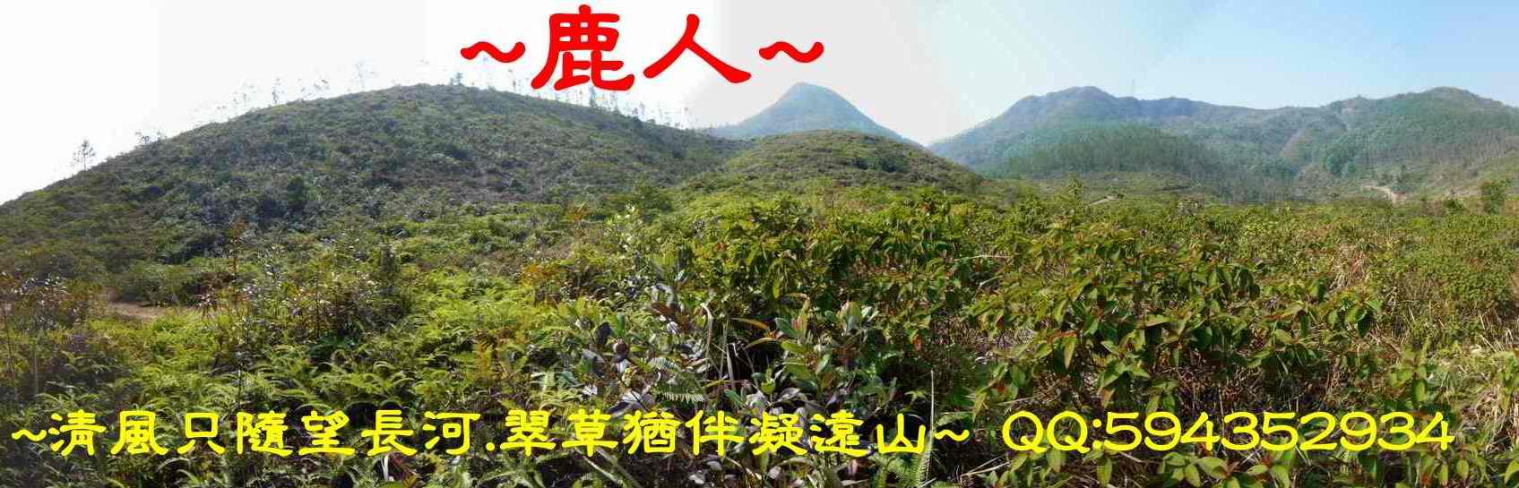 奇_穴頂看來龍入脈2.JPG