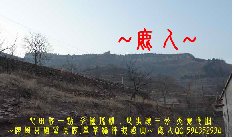 季冬賞北龍_04.JPG