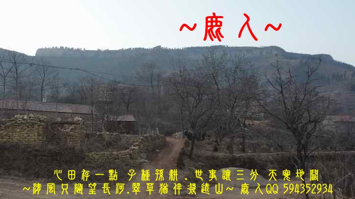 季冬賞北龍_03.JPG