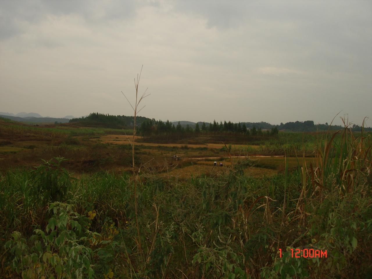 明堂右前1.JPG