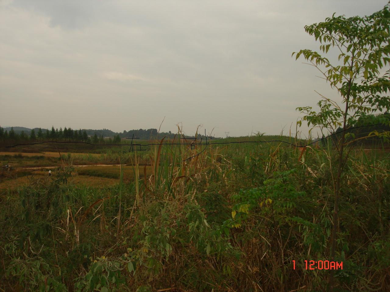 明堂右前2.JPG