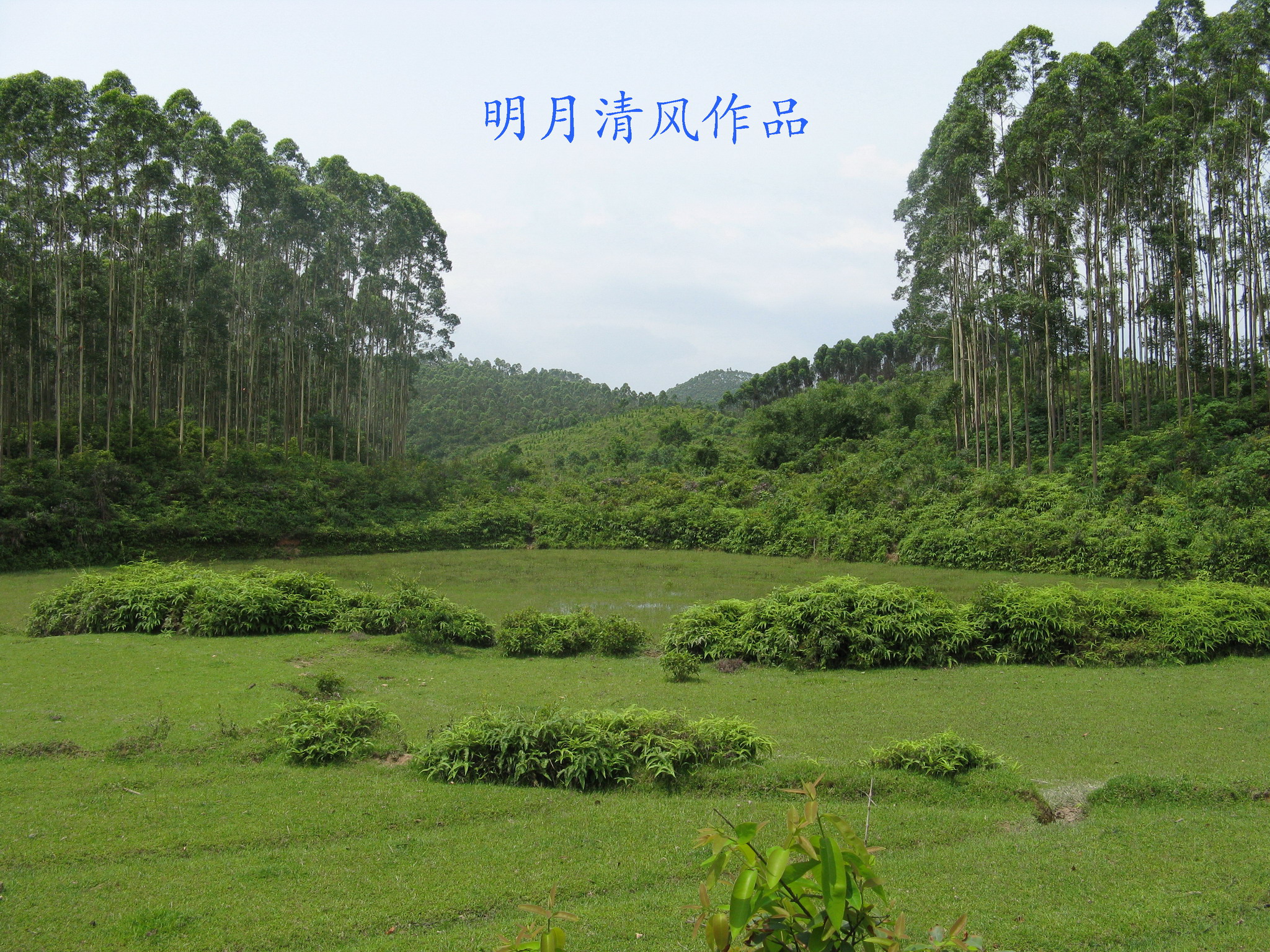 明堂.jpg