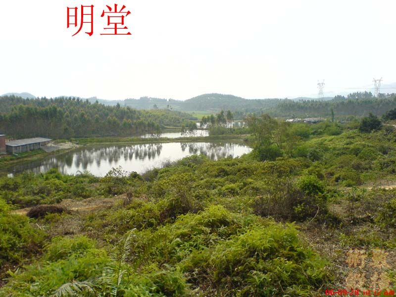 明堂.jpg