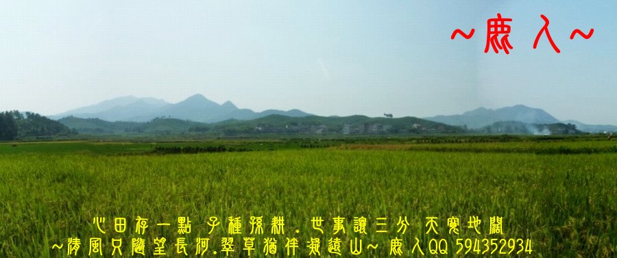 炎炎夏日_追田蟹_04.JPG
