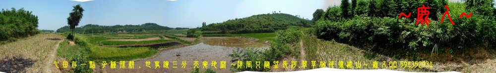 炎炎夏日_追田蟹_06.JPG