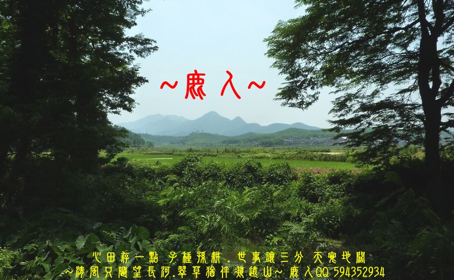 炎炎夏日_追田蟹_10.JPG