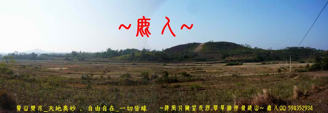 虎伏_01.JPG