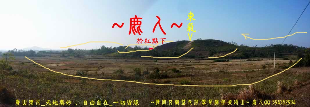 虎伏_01(標).JPG