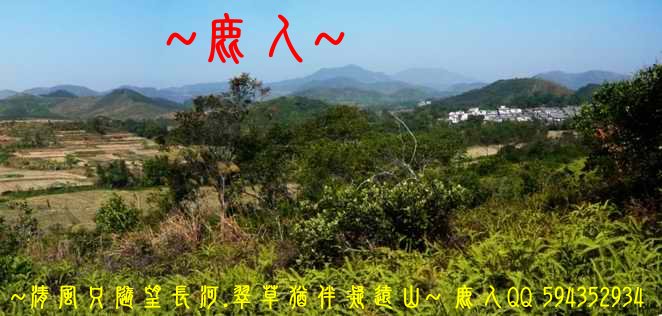 虎伏_02.JPG