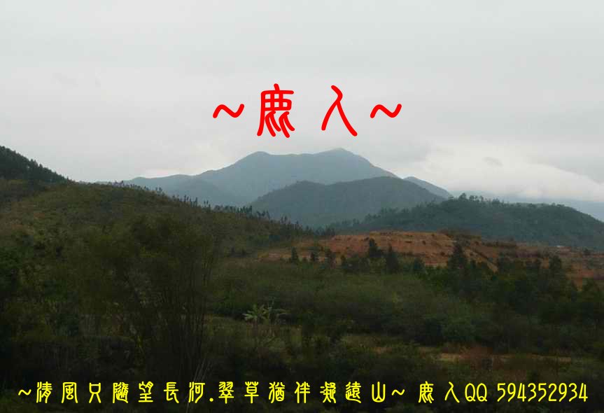 虎伏_03.JPG