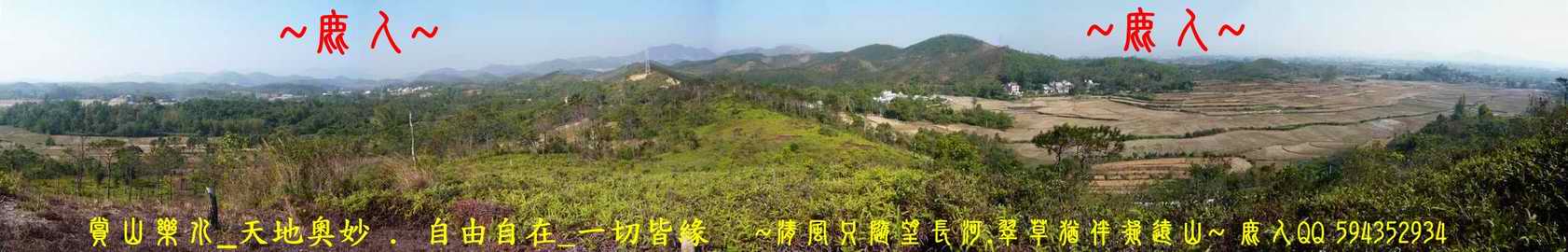 虎伏_05.JPG
