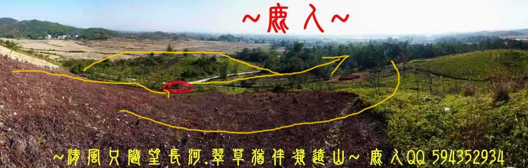 虎伏_06(標).JPG
