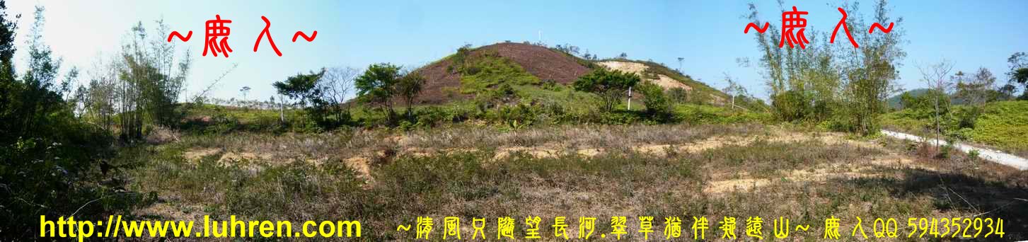 虎伏_07.JPG