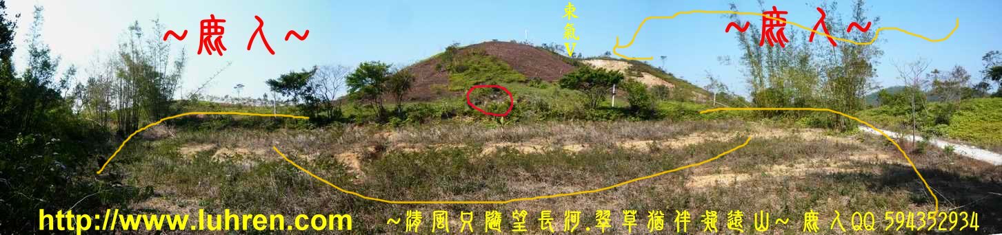 虎伏_07(標).JPG