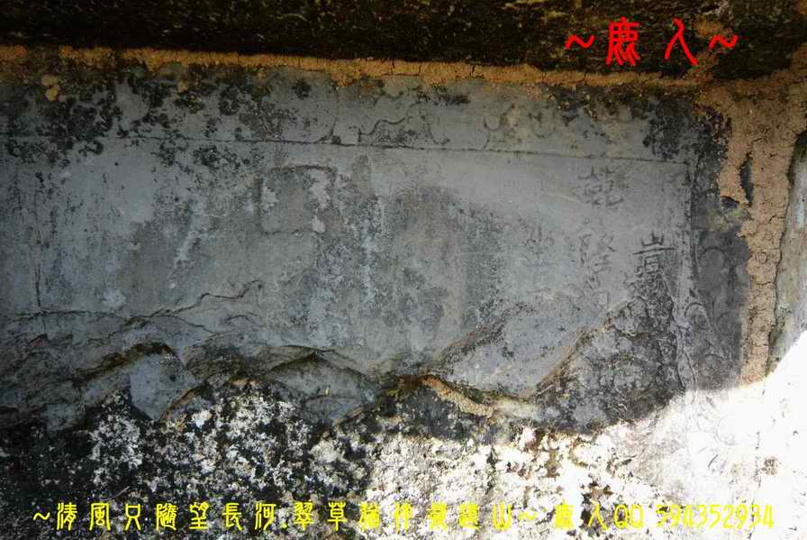 虎伏_09.JPG