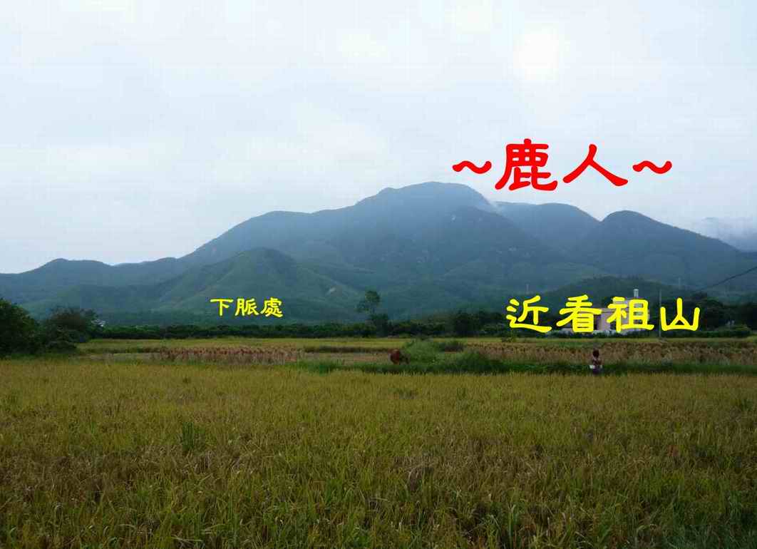 近看祖山下脈穿田.JPG
