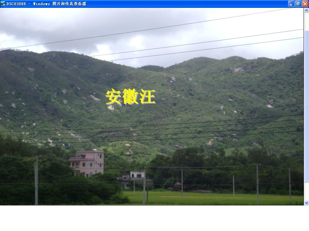 金星.jpg