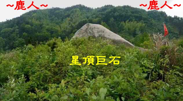特_星體225_1.JPG