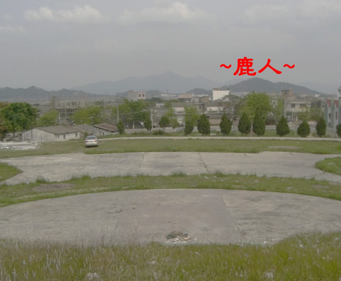 特朝2931.JPG