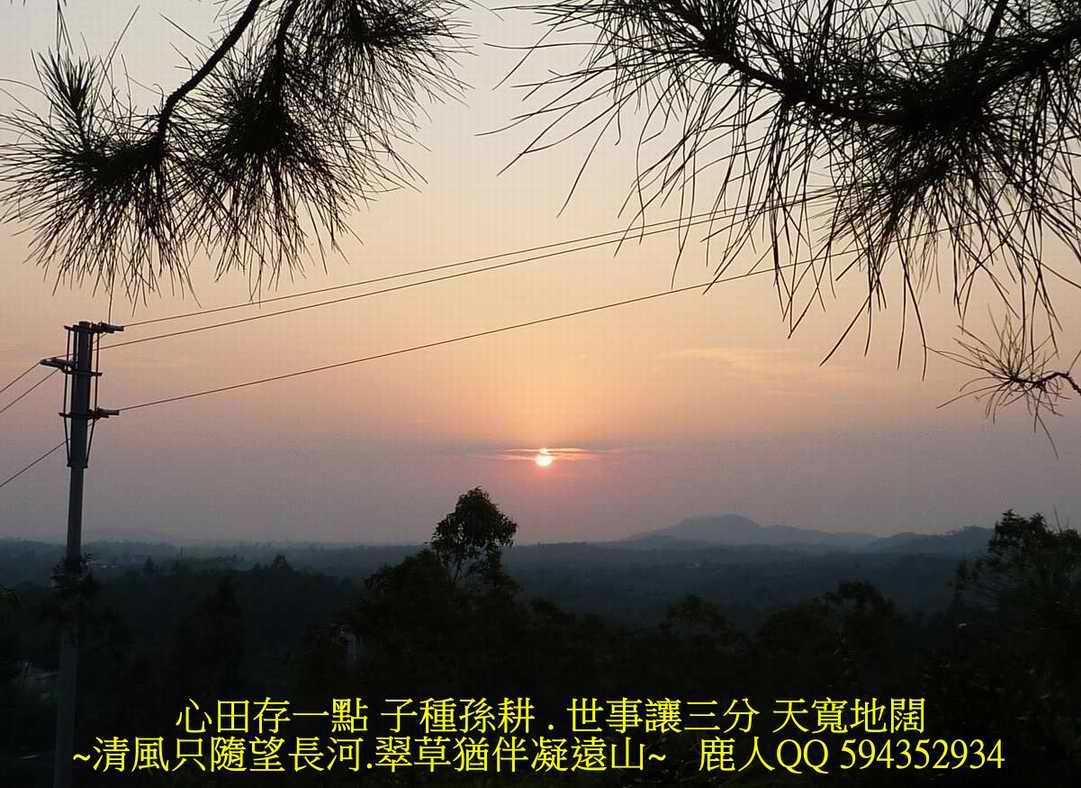 特朝_564.JPG
