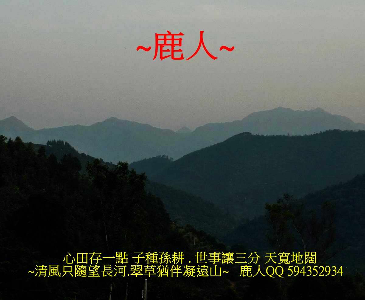 特朝_564_1.JPG