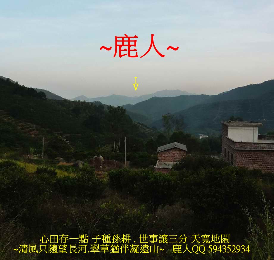 特朝_564_2.JPG