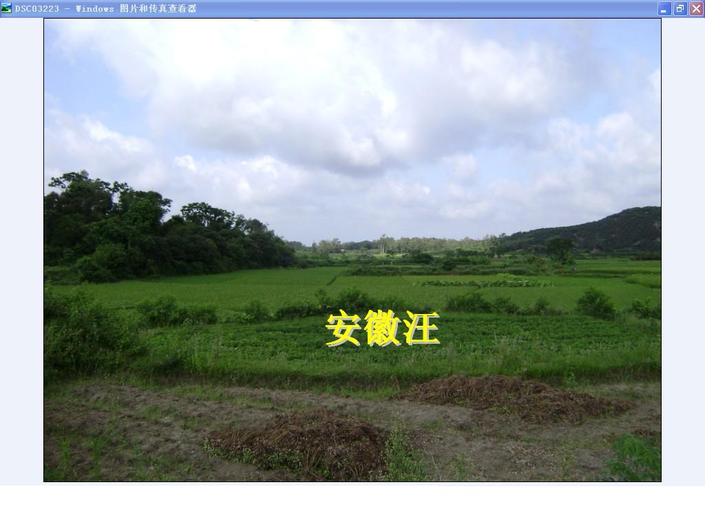留题地朝一.jpg