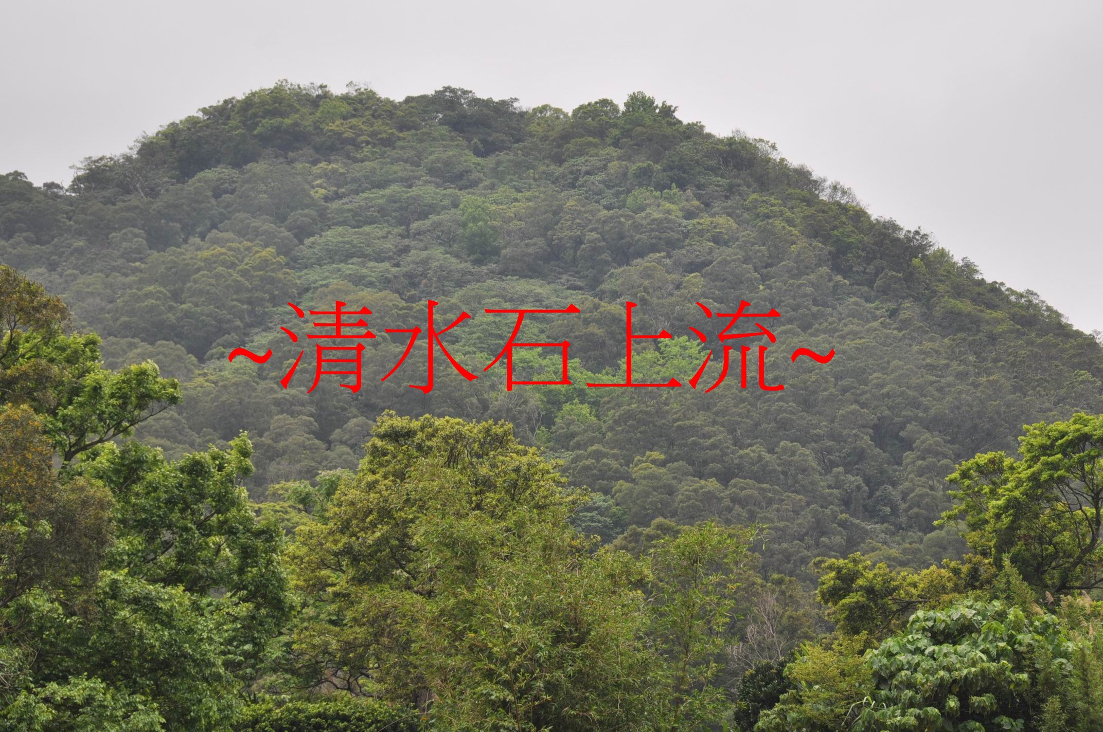 祖山下脈2.jpg
