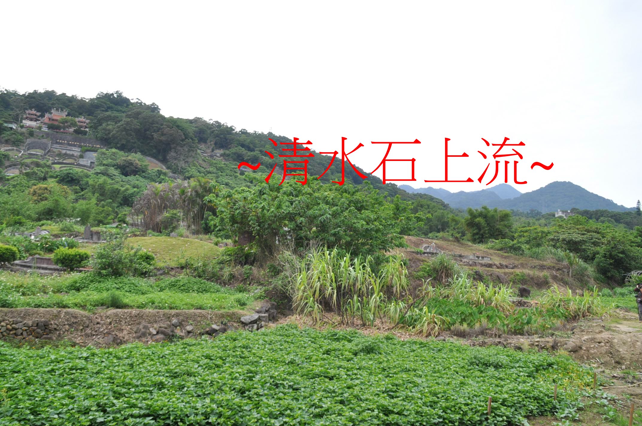 祖山來脈.jpg