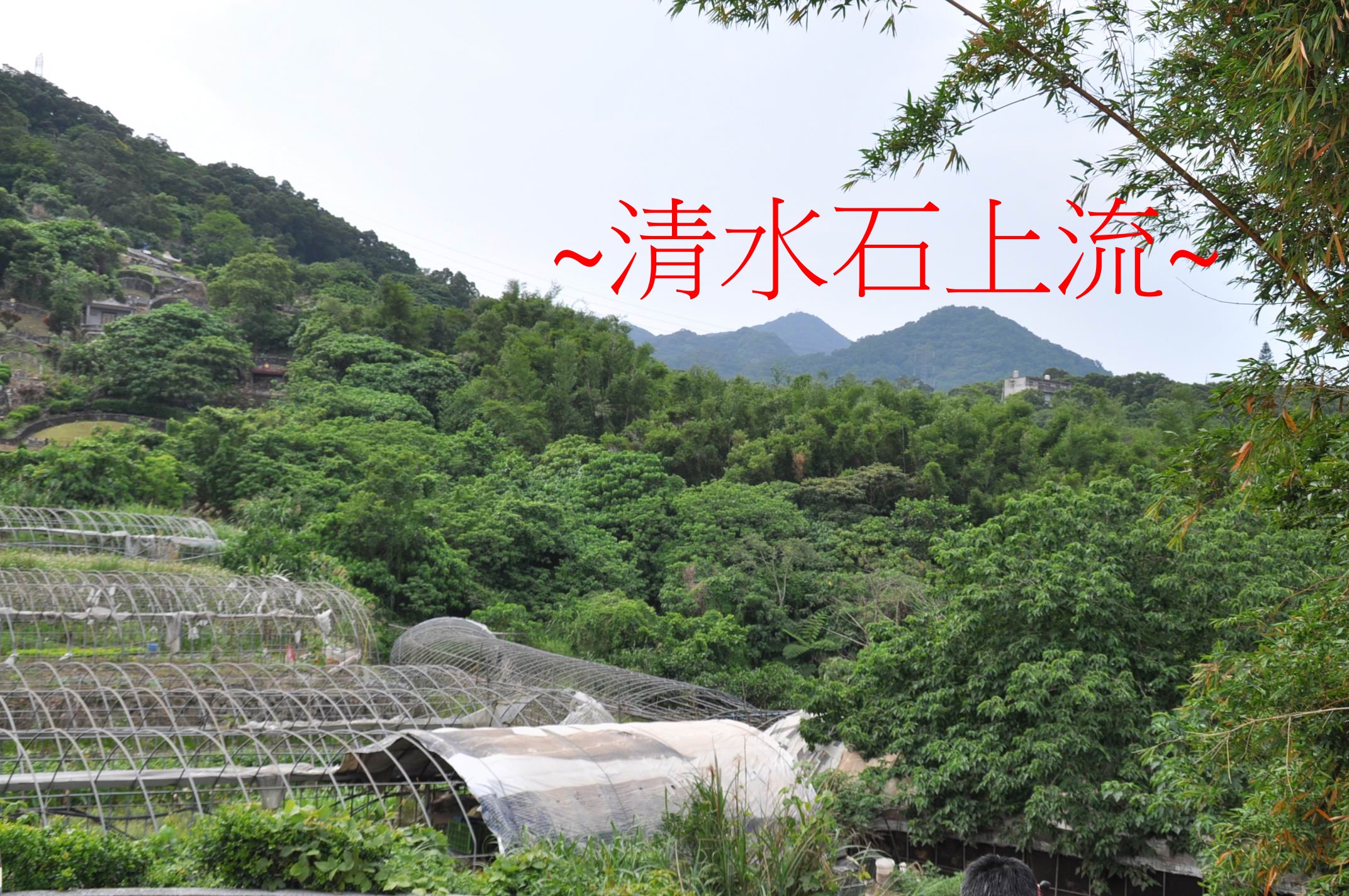 祖山.jpg