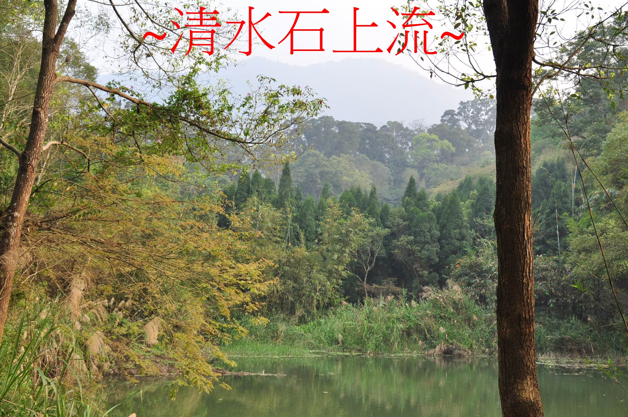 祖山.jpg
