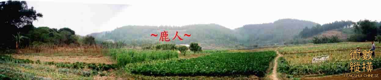 看入首巨門土再下脈金星全景.JPG